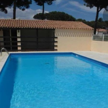Apt T2/4 Pers/ Rez De Jardin\Pinede\Piscine Agde Dış mekan fotoğraf